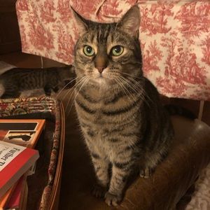 Meet your Posher, Lisa